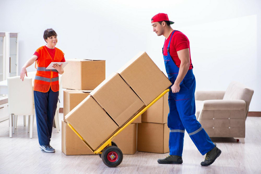 Mastering Manual Handling: Your Path to a Safer Workplace in London - Manual Handling Training Article