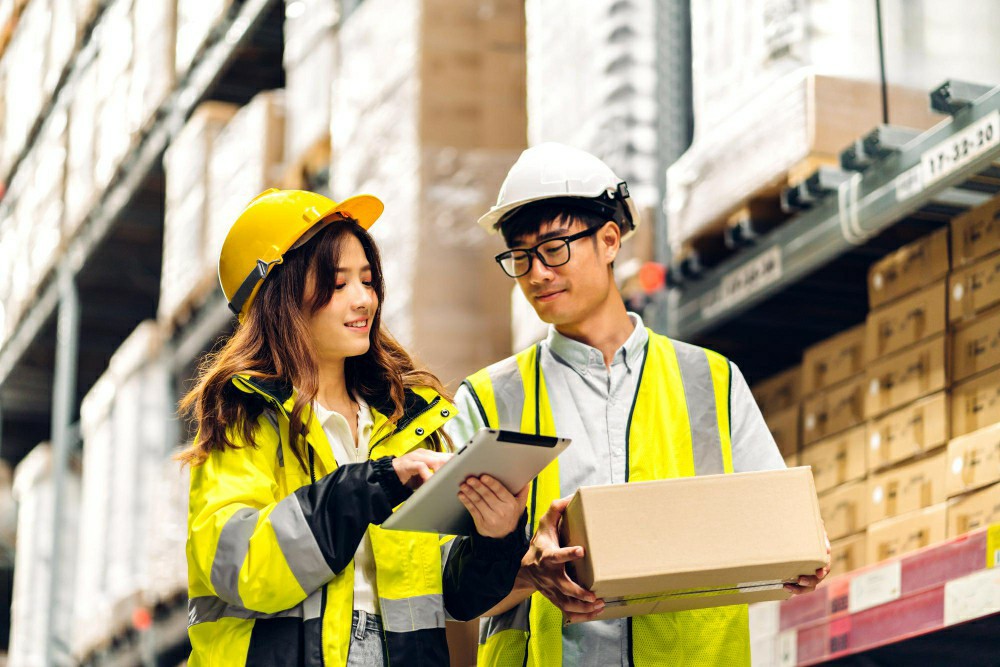 Mastering Manual Handling: Your Guide to Free Courses in London - Manual Handling Training Article