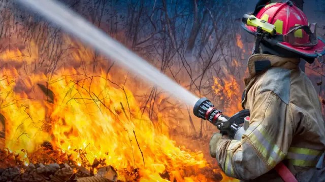 Fire Warden & Fire Marshal Training: The Essential Key... - Manual Handling Training UK