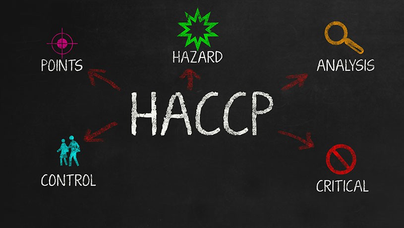 HACCP Training: Essential for Food Safety Compliance in... - Manual Handling Training UK