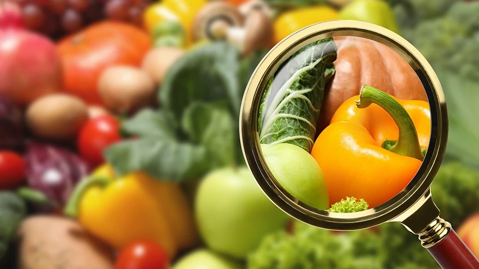 Elevate Your Food Business: The Critical Role of HACCP... - Manual Handling Training UK